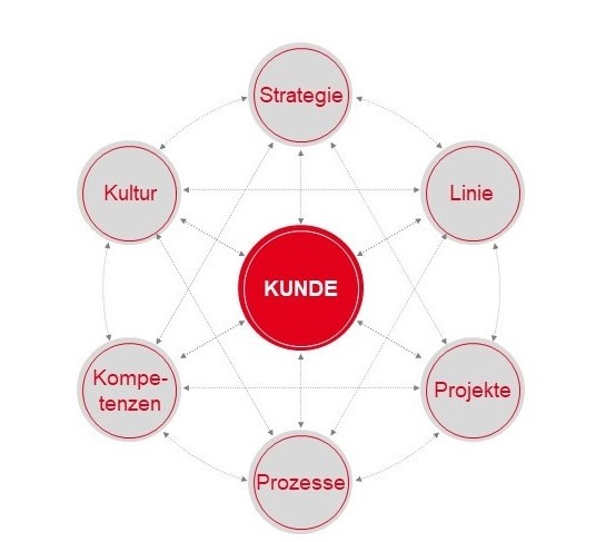 Grafik zum PMCC Organisationsverstaendnis Grafik zum PMCC Organisationsverstaendnis