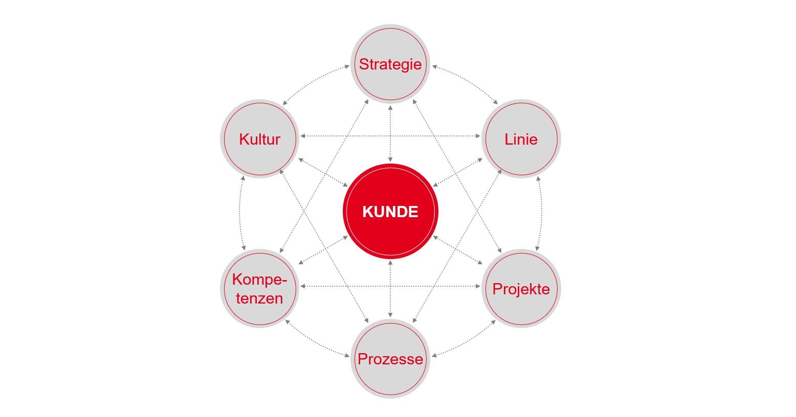 Grafik zum PMCC Organisationsverstaendnis