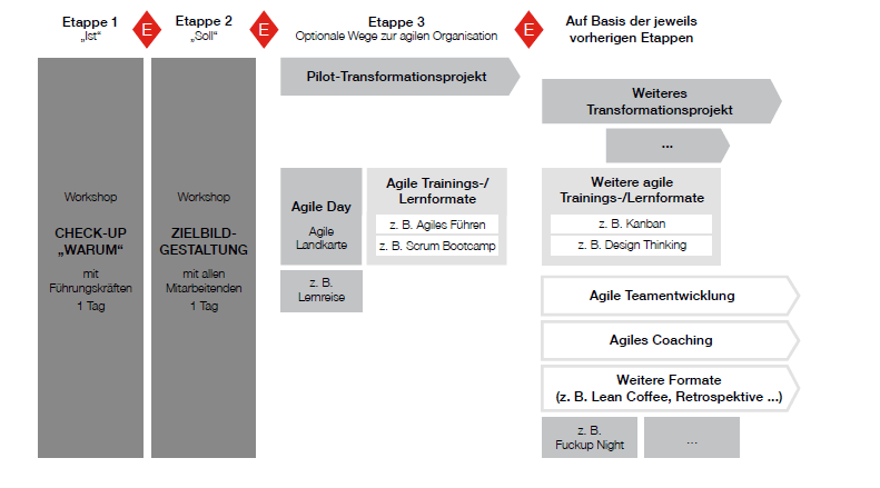 PMCC Agile Transformation Roadmap: Phasen