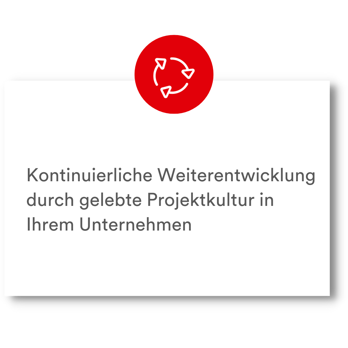 PMCC Projektmanagement Professionalisierung Unternehmen 8