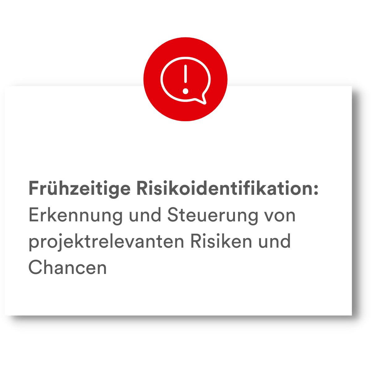 PMCC Vorteil Projektaudit 2