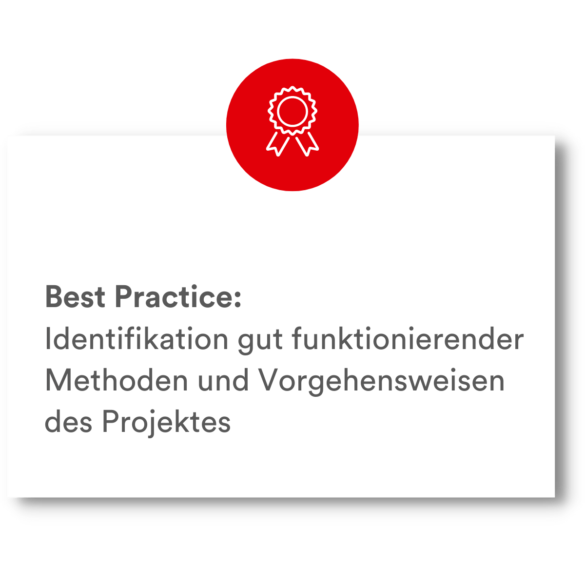 PMCC Vorteil Projektaudit 3