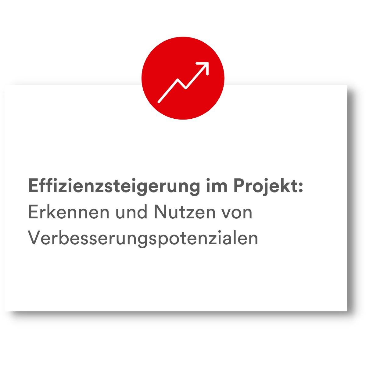 PMCC Vorteil Projektaudit 5