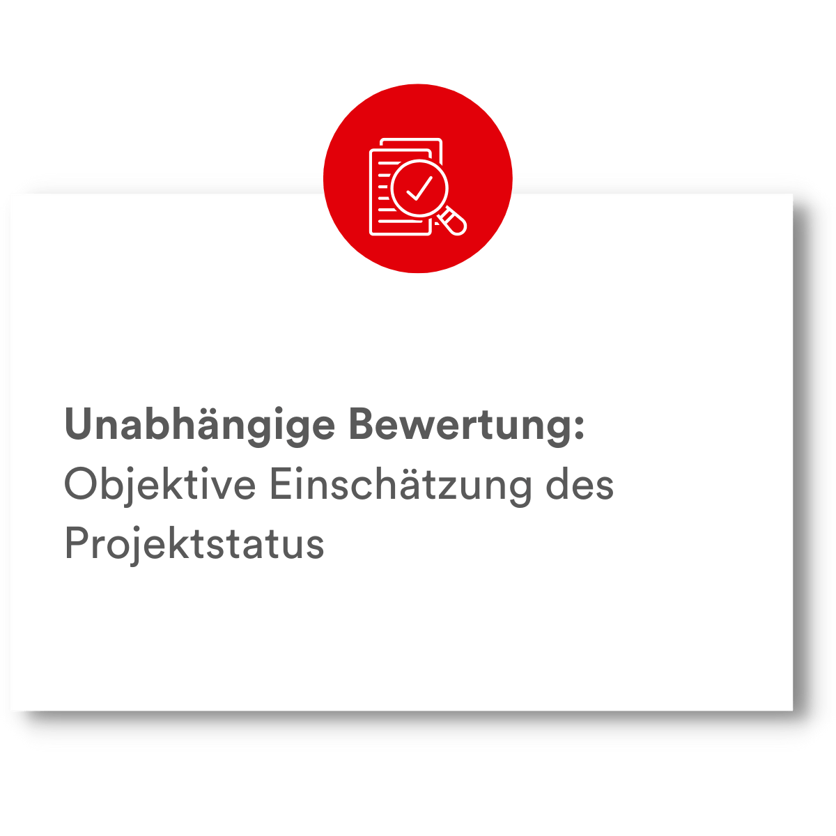 PMCC Vorteil Projektaudit 6